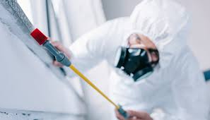 Best Termite Inspection and Treatment  in Islip Terrace, NY